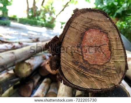Closeup Wooden Circle or Annual Ring on One of Timber Stacked, Result of Tree Felling.  Royalty-Free Stock Photo #722205730