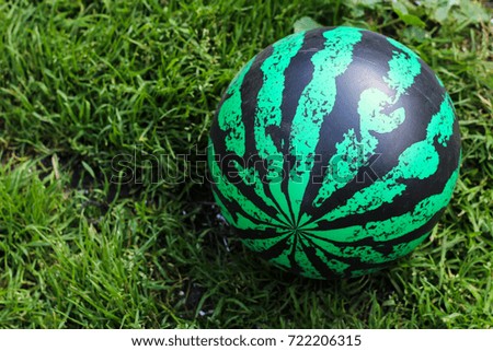 toy ball colored as watermelon on the grass
