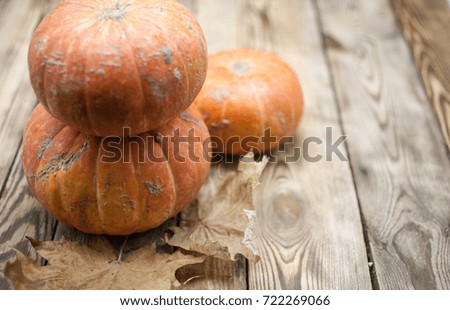 Pumpkins. Autumn still life on a wooden background. Selective focus
