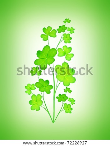 Green clover holiday plant, st.Patrick's day decoration isolated on green background with text space