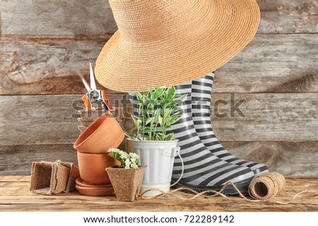 Composition with plants, garden pruner and rubber boots on wooden background
