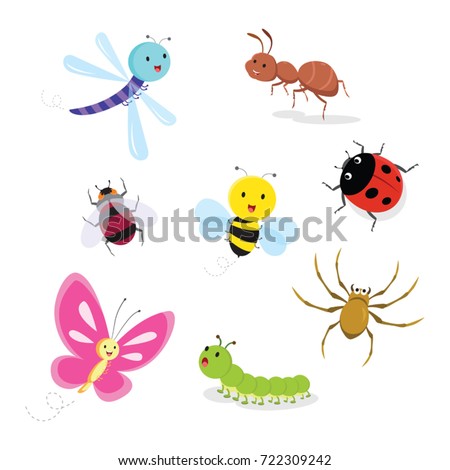 Set of insect. Vector illustration.