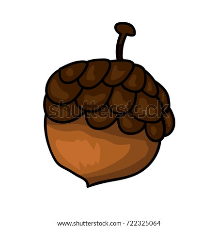Vector cartoon outlined hand drawn doodle tree oak acorn color illustration. Autumn nature element