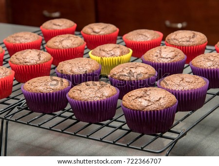 A group of cupcakes in vibrant paper wrappers cooling on a wire  Royalty-Free Stock Photo #722366707