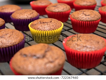 Chocolate cupcakes cooling on wire rack Royalty-Free Stock Photo #722367460