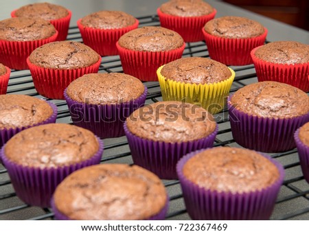 Cupcakes in vibrant paper wrappers cooling on wire rack Royalty-Free Stock Photo #722367469