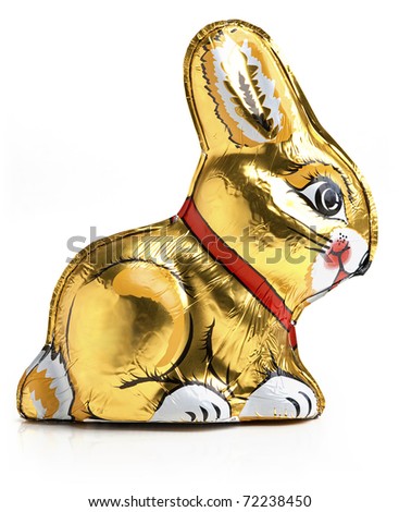 Easter chocolate rabbit - bunny. Isolated on the white background.
