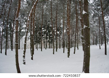 Winter in Czech Republic, Vysocina, Europe. 