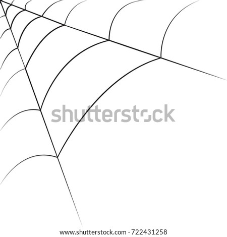 spider web with white background