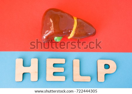 Liver with Help word. Anatomical model of liver and gallbladder is on red background, below letters that make word Help on blue background. Medical care, diagnosis, treatment for organ