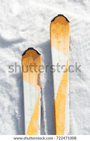 close-up of a ski in the snow