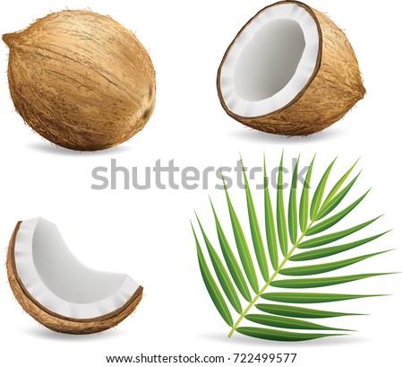 Coconuts isolated on white background.illustration Royalty-Free Stock Photo #722499577