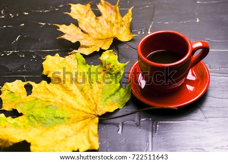 Cup of tea surrounded by autumn leaves. Autumn concept
