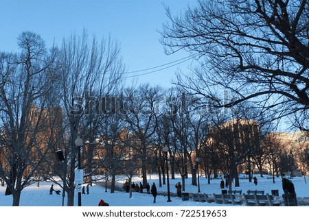 A Park in the Winter