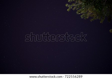 Starry night sky with leaves.