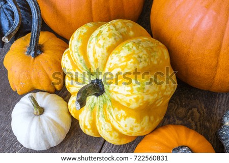 Closeup of yellow and orange patterned gourd on rustic wooden table, gourds and pumpkins surrounding. Harvest, autumn, THanksgiving or Halloween image