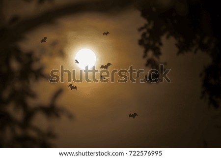 Moon light on darkness and a tree in Halloween, Halloween concept.