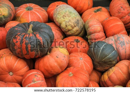 Multicolored Garboo pumpkins. The picture was made on a farmer's market in Germany.
