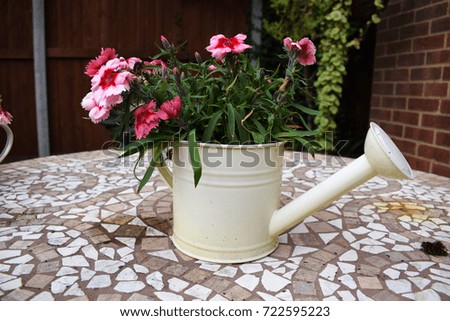 Pink flowers in watering can pot on garden table