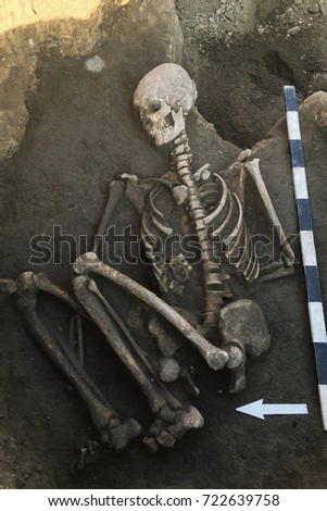 Archaeological excavations and finds (bones of a skeleton in a human burial),  working tool, ruler, arrow direction north, a detail of ancient research, prehistory. 