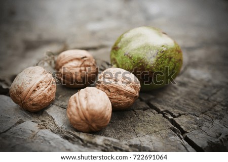 Freshly picked walnuts in shells on log. Nature concept. Selective focus