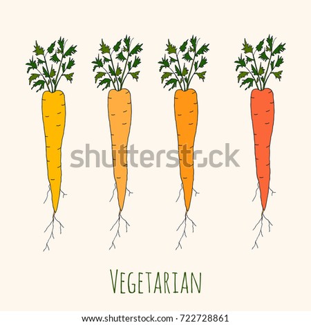 Set of fresh orange ripe carrots. Hand drawn illustration isolated on white background. Vegetarian eco food product, organic, vegan nutrition. For recipe book, poster, card design, cafe menu cover.