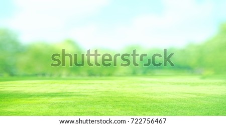 landscape green grass field with blur trees  background, watercolor effect