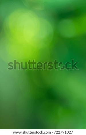 fresh green forest blurry bokeh background wallpaper 