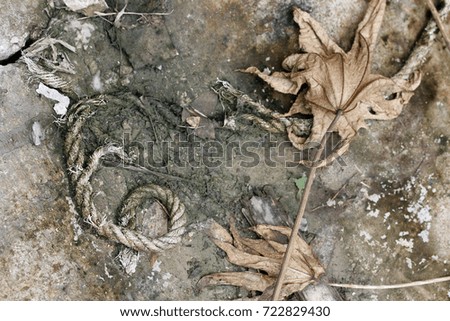 Dry fallen leaves and ropes lay on concrete plate

