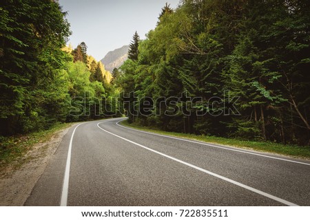 highway in the mountains passes through the forest