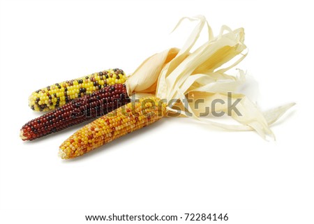 Three colorful dried Indian corns on white background