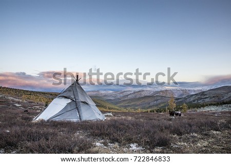 tsaatan yurt in northern mongolian landscape