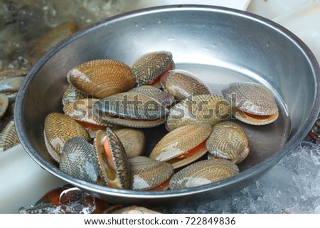 Clams,Surf clam, Short necked clam, Carpet clam, Venus shell, Baby clam,Thai clams.