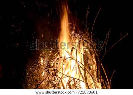 Burning branches burn in the fire