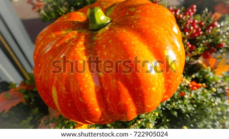 Pumpkin season in the fall