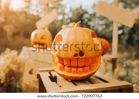 Ghost pumpkins on Halloween. Jack on an autumn background. Holiday outdoor decorations