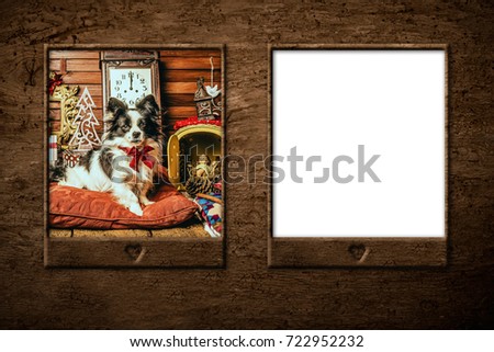 Dog, Christmas cards.Set of blank wooden frame and frame with cute dog.