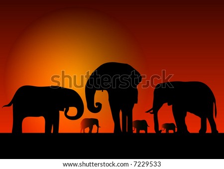 silhouette of elephants illustration