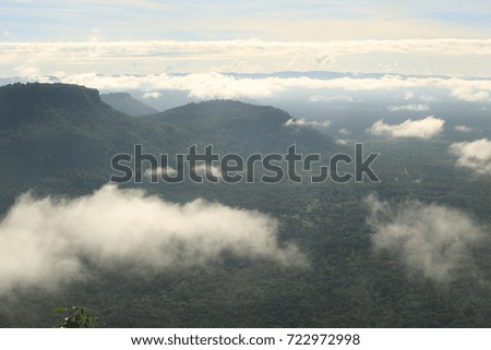 The morning mist at Pha Moo e-d Eang, Kantharak, Sisaket,Thailand :An image of a nice misty scenery