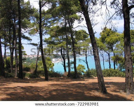 Greece a pine forest and the sea