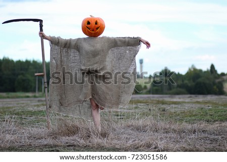 scarecrow pumpkin head in a field