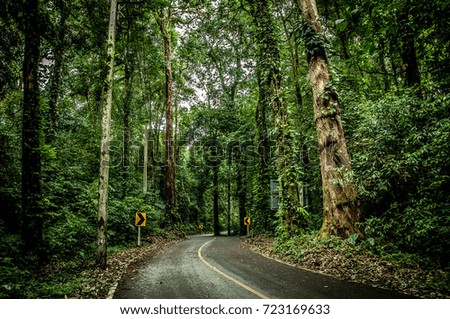 forest Royalty-Free Stock Photo #723169633