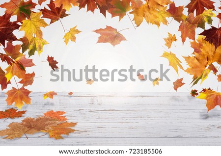 autumn red and orange leaves with heart fall white wooden background