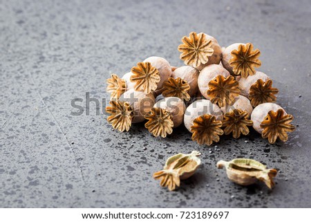 Poppy seed heads in a glass bowl on stone background. Selective focus, close up, space for text. 