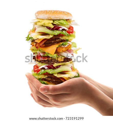 very big sandwich with salade and hamburger