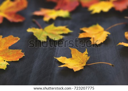 Autumn leaves on a black wooden table with copy space
