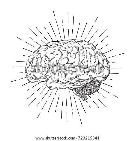 Hand drawn human brain with sunburst anatomically correct art. Flash tattoo or print design vector illustration.