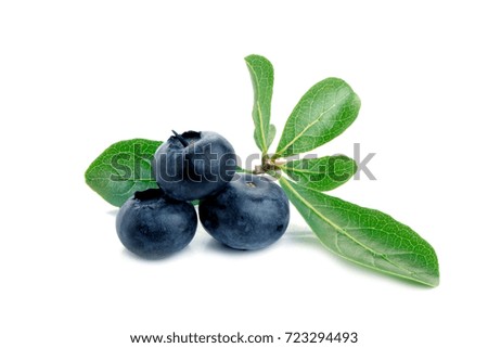 Blueberry. Two fresh blueberries with leaves isolated on white background. With clipping path.