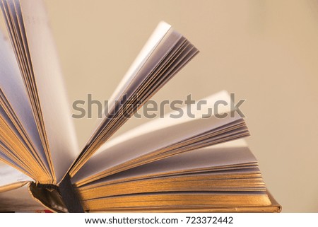 open book with golden pages, in the sunlight