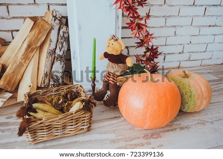still life of pumpkins on white brick background